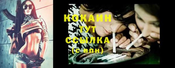 прущие грибы Абаза