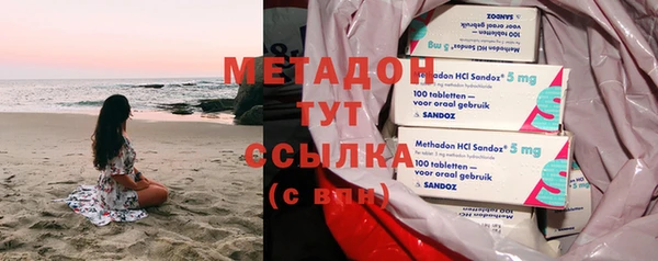прущие грибы Абаза