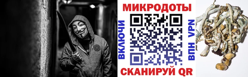 Галлюциногенные грибы MAGIC MUSHROOMS как найти закладки Ак-Довурак